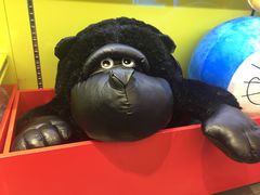 -PAWTOY爪e玩偶店(天兴罗斯福店)