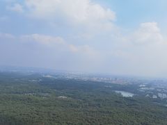 -紫金山天文台