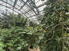 -南山植物园