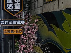 -吉祥圣雪藏餐