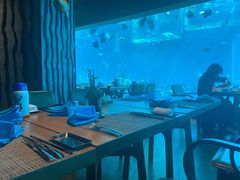 -海棠湾洲际-涛·海底餐厅·美人鱼·自助餐·海底隧道