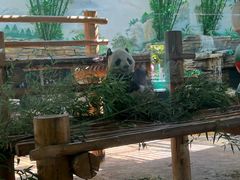 -西霞口神雕山野生动物世界