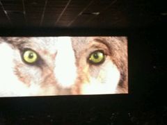 android_upload_pic-大地影院(上海南汇店)