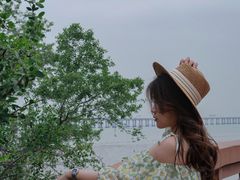 -宝安西湾红树林湿地公园