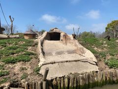 -上海野生动物园