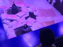 -暹罗海洋世界