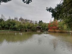 -瀛洲公园