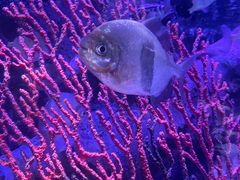 -沈阳海洋探索中心