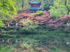 -岳麓山风景名胜区