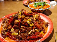 -柴窝堡22号辣子鸡·传承新疆菜