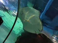 -石家庄海洋公园