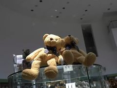 -济州岛泰迪熊博物馆