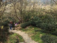 -樱桃山旅游景区