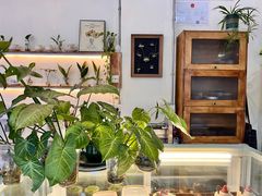 -绿小院(荔湾店)
