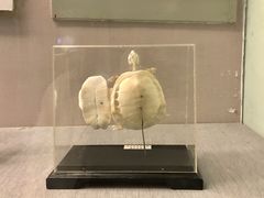 -青藏高原自然博物馆