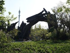 -广富林郊野公园