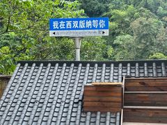 -西双版纳原始森林公园