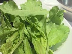 -蝎王府羊蝎子(北大地店)
