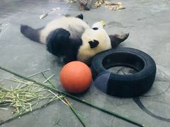 -无锡动物园·太湖欢乐园