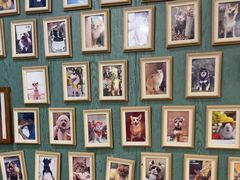 -严国平动物医院(德政总院)