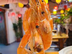 -单家老院·院子里的青岛菜(沙子口店)