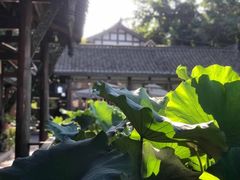 -莫催咖啡