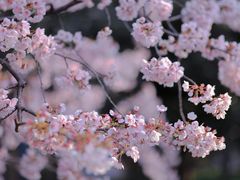 -静安雕塑公园