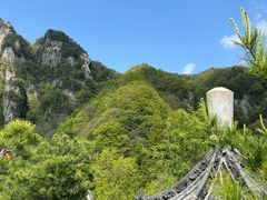 -王顺山国家森林公园