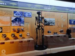 -国家自然博物馆