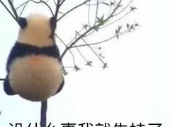 -吃皮火锅馆(苏宁店)