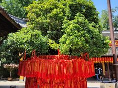 -龙华寺