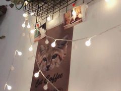-豆老板的猫咖啡(碑林博物馆店)