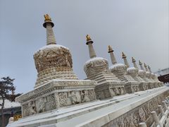 -大召无量寺