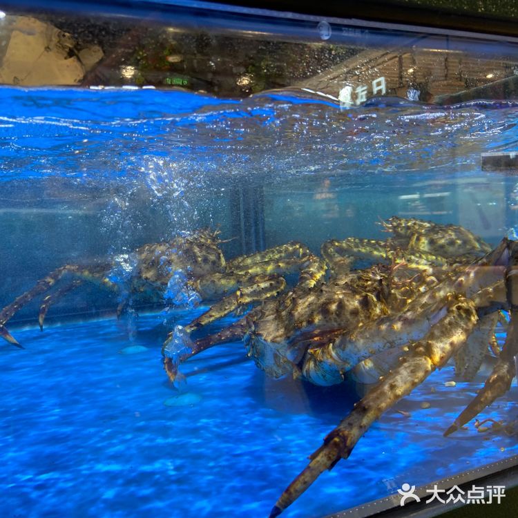 南昌版盒马生鲜-长申购物广场