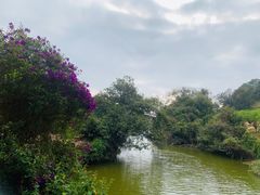 -南国桃园旅游度假区