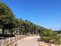 -深圳湾公园(南山区)