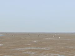 -小洋口旅游度假区