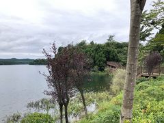 -仙海旅游度假区