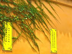 -西园戒幢律寺