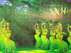 -小芳舞蹈团·少儿舞蹈·中国舞(龙江校区)