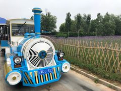 -渔岛海洋度假区