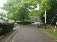 -苏州河梦清园环保主题公园