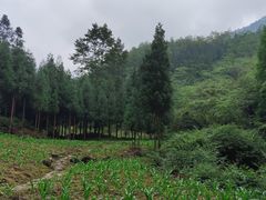 -龙窝子