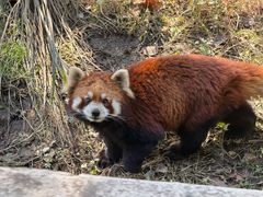 -宁波野生动物园