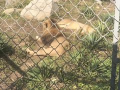 景点-西安秦岭野生动物园