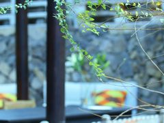 -MOJ coffee(瓯海泽雅水碓坑店)