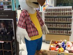 -西沃古尔·拉姆古兰爵士国际机场