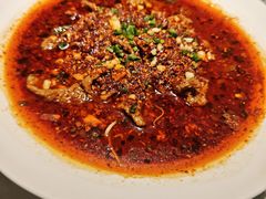 -院8里·小聚园老川菜(九眼桥店)