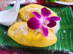 -Jungle Kitchen