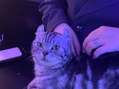 -极木²邸 人与宠物·互动社区